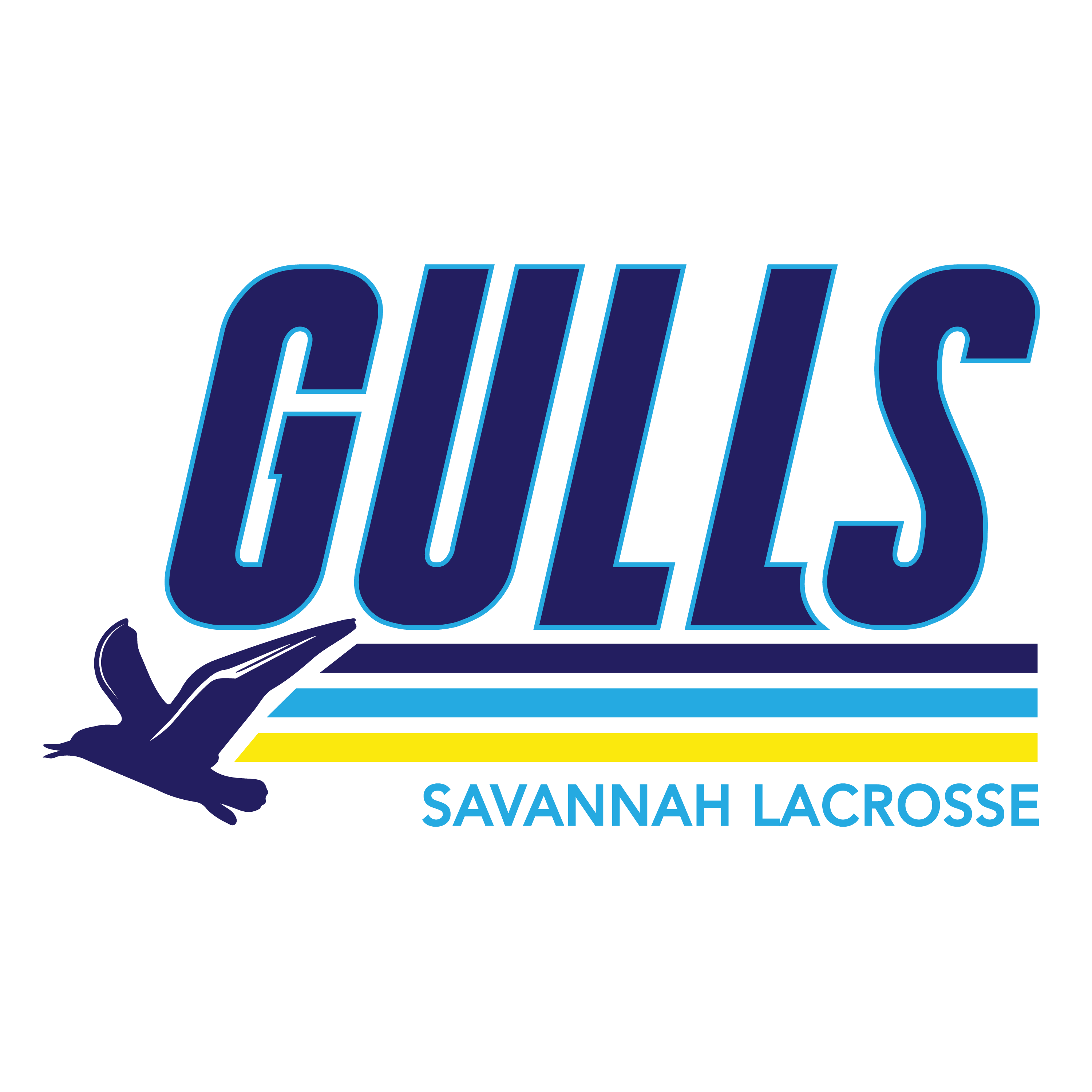 Savannah Gulls Logo